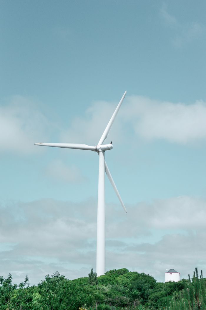 A large wind turbine stands tall against a clear blue sky surrounded by green foliage.